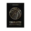 CharlotteHornets-EAST-bez-rama.jpg