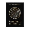CharlotteHornets-EAST-z-rama.jpg