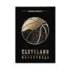 ClevelandCavaliers-bez-rama.jpg