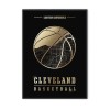 ClevelandCavaliers-z-rama.jpg