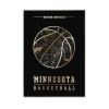 MinnesotaTimberwolves-WEST-bez-rama.jpg