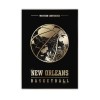 NewOrleansPelicans-WEST-bez-rama.jpg