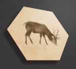 Obraz na drewnie heksagon - Jeleń