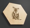Obraz na drewnie heksagon - Koala - hexxy - drewniany obrazek