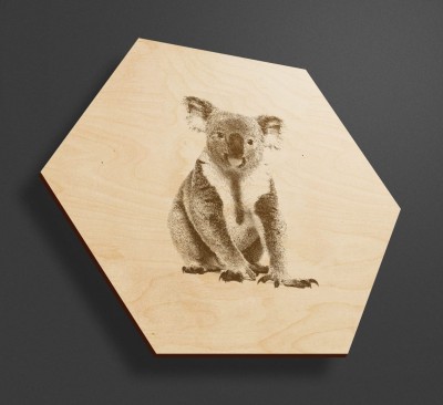 Obraz na drewnie heksagon - Koala - hexxy - drewniany obrazek