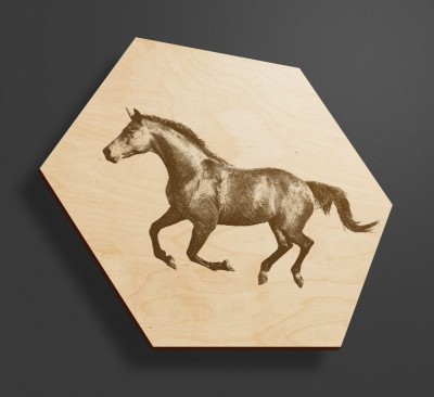 Obraz na drewnie heksagon - Koń - hexxy na ścianę - obraz w kształcie plastra miodu