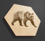 Obraz na drewnie heksagon - Niedźwiedź