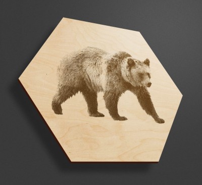 Obraz na drewnie heksagon - Niedźwiedź - heksagon ze sklejki