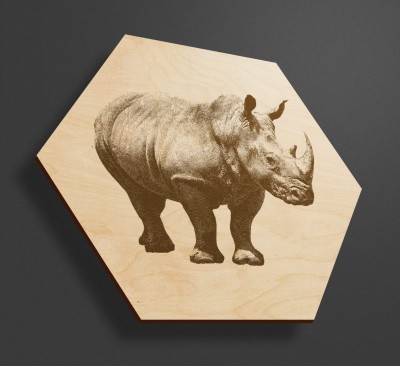 Obraz na drewnie heksagon - Nosorożec - Obrazy z nosorożcem