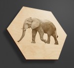 Obraz na drewnie heksagon - Słoń