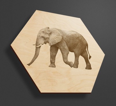 Obraz na drewnie heksagon - Słoń - Heksagony z drewna na ścianę