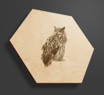 Obraz na drewnie heksagon - Sowa
