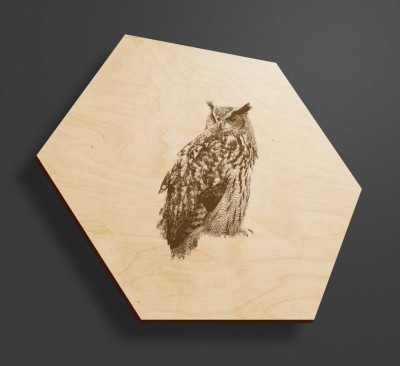 Obraz na drewnie heksagon - Sowa - Obraz sowa