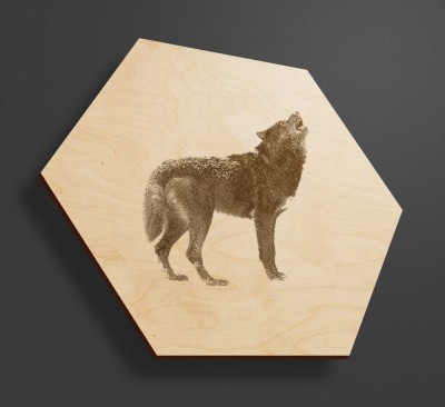 Obraz na drewnie heksagon - Wilk  - obraz z wilkiem