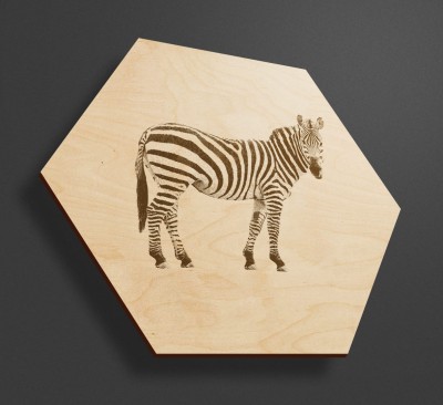 Obraz na drewnie heksagon - Zebra - Obraz zebry na ścianę