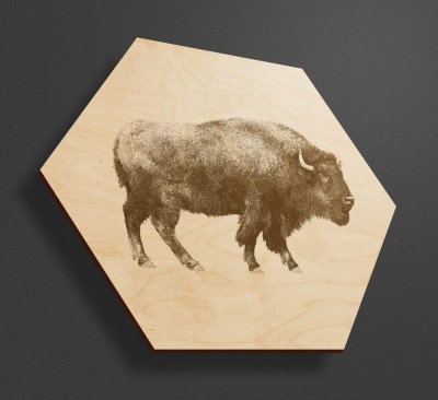 Obraz na drewnie heksagon - Żubr - obrazek w kształcie heksagonu