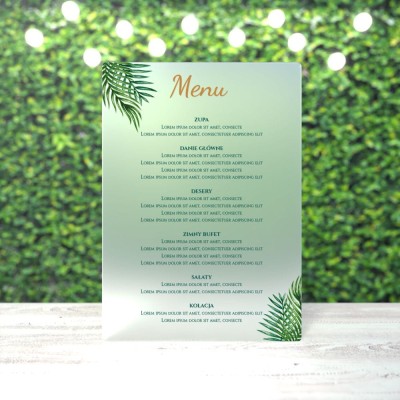 Sat_ZS-3-Menu.jpg